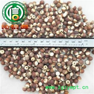 【满包邮】党参大节段无硫统货散装甘肃产地直供党参节段沁信源中药批发图4