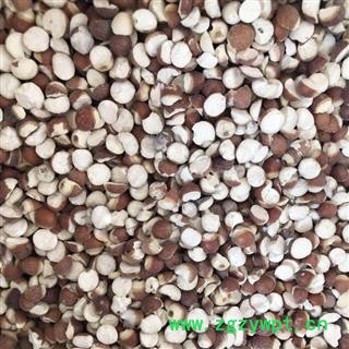 芡实 芡实对掰开（11-12mm） 产地 广东省 买好药找图3