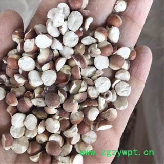 芡实 芡实对掰开（11-12mm） 产地 广东省 买好药找图2