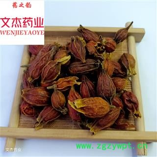 栀子 野生小栀子 统货 产地 江西省 现货批发 实物拍摄 新货批发【文杰药业】