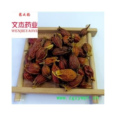 栀子 野生小栀子 统货 产地 江西省 现货批发 实物拍摄 新货批发【文杰药业】