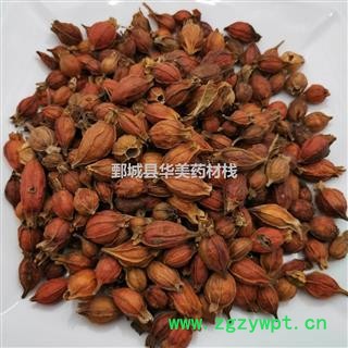 栀子1000克【至臻华美】中药材批发供应【野生小栀子】小栀子图3