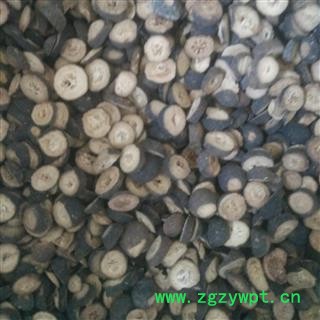 小青皮 小号仿枳实 优质小青皮 主流小枳实 产地 湖北省