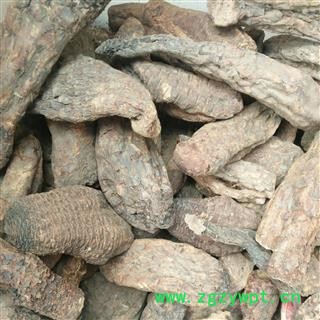 硬质肉苁蓉  硬大云  选个 产地 新疆维吾尔自治区图2