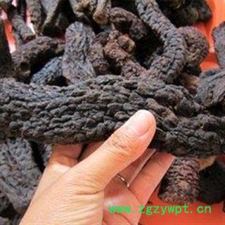 诺源药材行中药材优质肉苁蓉 软大芸图3