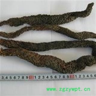 诺源药材行中药材优质肉苁蓉 软大芸图2