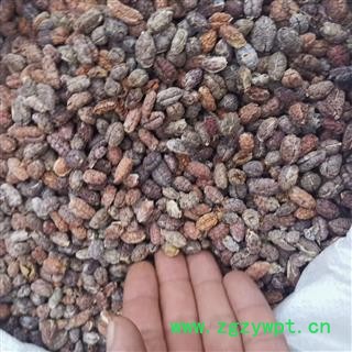 砂仁 砂仁红米选装 产地 海外图2