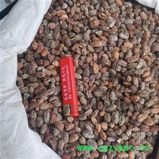 砂仁 砂仁红米选装 产地 海外图3