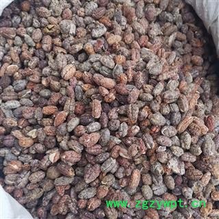 砂仁 砂仁红米选装 产地 海外