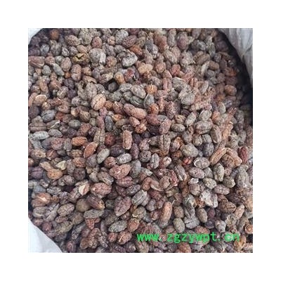 砂仁 砂仁红米选装 产地 海外