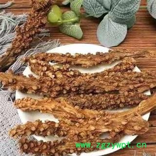 虎鞭草 子孙草 回春草 顶天柱 泡酒500g图2