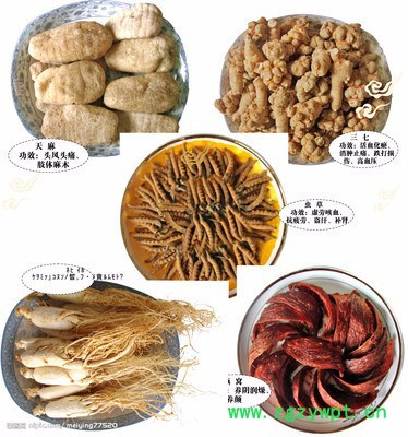 中药材烘干机  中药材烘干设备   中药材流水线厂家图3