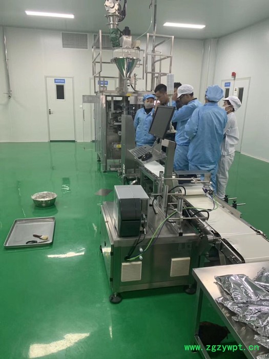 河北石家庄中药散剂自动包装生产线 中药散剂生产线图5