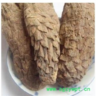 肉苁蓉 选装硬大芸个 产地 新疆维吾尔自治区图2