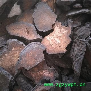 肉苁蓉 硬大云 好统货 产地 新疆维吾尔自治区 国药堂 专注品质图2