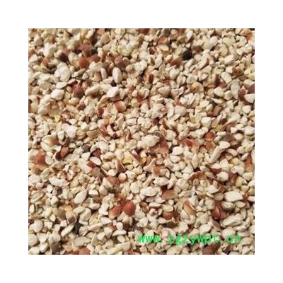 芡实 芡实米 产地 广东省  产地直销 重在质量