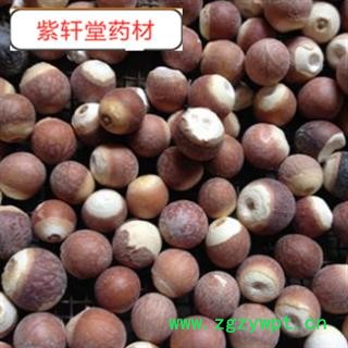 芡实 好芡实个子 产地 广东省图2