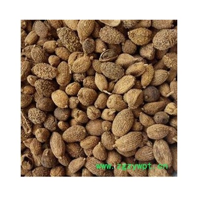 砂仁 统 产地 海外