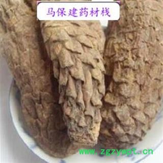 肉苁蓉 大选装 硬大芸个 纯干 产地 新疆维吾尔自治区