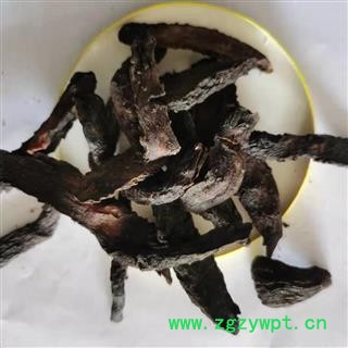 肉苁蓉 软大芸统片 产地 新疆维吾尔自治区图2