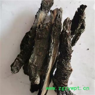 肉苁蓉 软大芸统片 产地 新疆维吾尔自治区