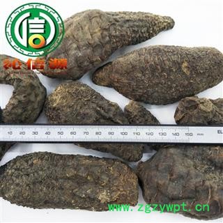 【满包邮】硬质肉苁蓉个子统货散装新疆产地直供硬大芸沁信源中药批发图2