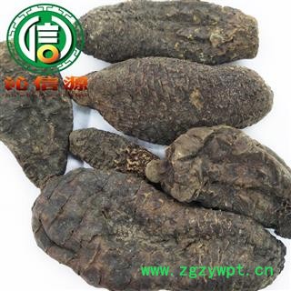 【满包邮】硬质肉苁蓉个子统货散装新疆产地直供硬大芸沁信源中药批发图4