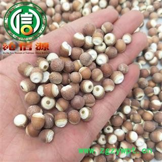 【满包邮】芡实大粒个子选货散装芡实粒广东产地直供刀芡实沁信源中药批发图3