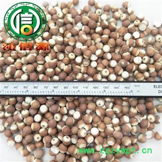 【满包邮】芡实大粒个子选货散装芡实粒广东产地直供刀芡实沁信源中药批发图2