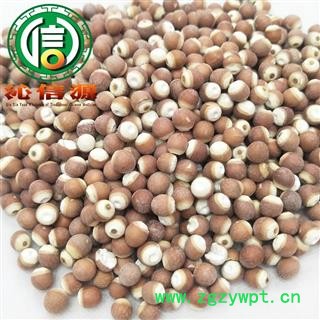 【满包邮】芡实大粒个子选货散装芡实粒广东产地直供刀芡实沁信源中药批发图4