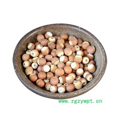 芡实 整 产地 广东省