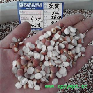 芡实 10厘 选 2021年 两半对开 产地 广西壮族自治区桂林市灵川县图3