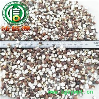 【满包邮】芡实小粒对开选货散装芡实米广东产地直供刀芡实沁信源中药批发图2