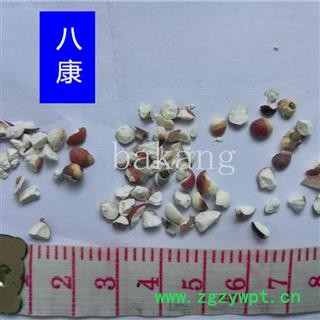 芡实 4-6半  产地 广东省图3