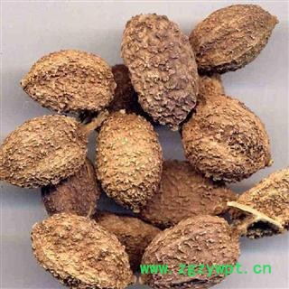 【录建药业】砂仁 进口砂仁 产地 海外