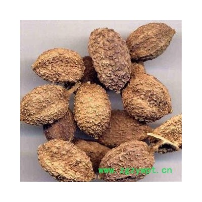 【录建药业】砂仁 进口砂仁 产地 海外