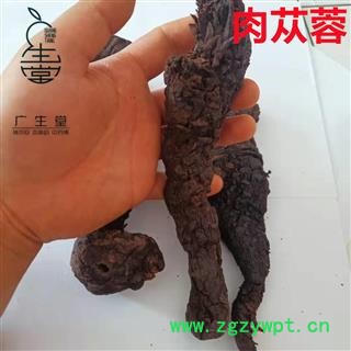 中药材批发 大云 肉苁蓉 软大个 产地直销各种中药材图4