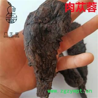 中药材批发 大云 肉苁蓉 软大个 产地直销各种中药材图3