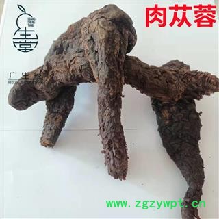 中药材批发 大云 肉苁蓉 软大个 产地直销各种中药材图2