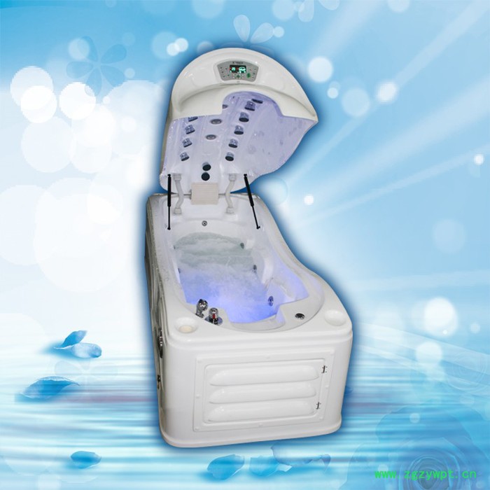 新浩牌SH-800P-6熏洗型康复理疗设备中药熏蒸设备 中药熏蒸舱 中药蒸疗机 中医熏蒸理疗设备熏蒸药浴舱图2