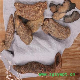 煜庭药业 肉苁蓉 大云图3