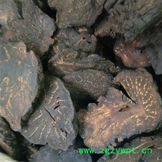 肉苁蓉 精选大片 产地 新疆维吾尔自治区图2