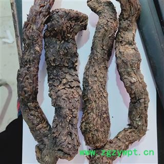 肉苁蓉 本店新到甜大芸个子。个头粗长质量好 产地 新疆维吾尔自治区图4