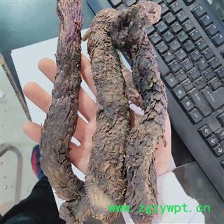 肉苁蓉 本店新到甜大芸个子。个头粗长质量好 产地 新疆维吾尔自治区图3