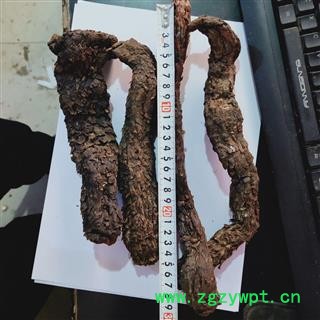 肉苁蓉 本店新到甜大芸个子。个头粗长质量好 产地 新疆维吾尔自治区图2