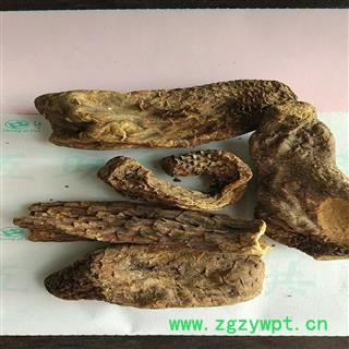 肉苁蓉 肉苁蓉大选个  大芸 选装 产地 新疆维吾尔自治区图3