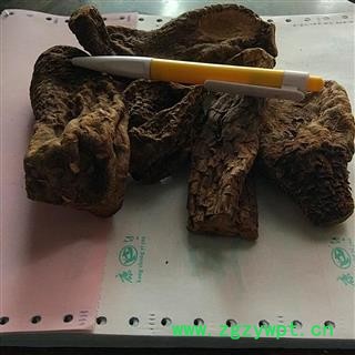 肉苁蓉 肉苁蓉大选个  大芸 选装 产地 新疆维吾尔自治区图4