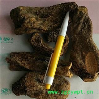 肉苁蓉 肉苁蓉大选个  大芸 选装 产地 新疆维吾尔自治区图2