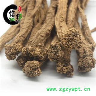 野生党参无硫甘肃岷县党参大条选货大条党参产地直销专注品质，诚信信邦！图3