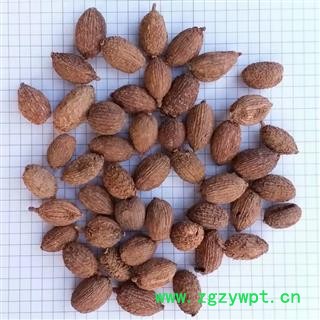 A进口砂仁 进口壳砂仁统货 产地 云南省图2